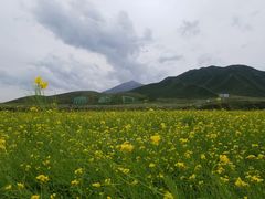 -扁都口生态休闲旅游区
