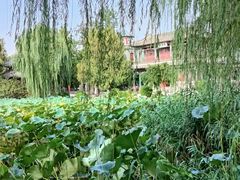 -莲池书院博物馆