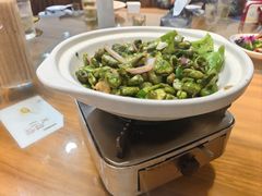 -小小饭店·休闲农庄·安吉松树林里的农家菜
