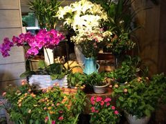 iphone_upload_pic-春暖花开(西溪店)