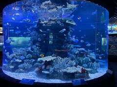-左海海底世界