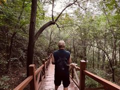 -大岭沟猕猴桃谷风景区