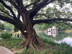 -晓港公园