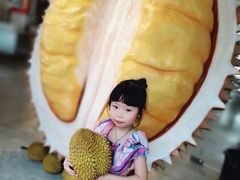 -都念榴莲·城市榴莲