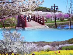 -苏州上方山国家森林公园