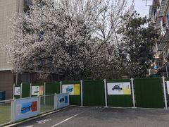 -水中仙东方会馆(丹阳店)