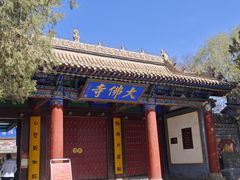 -张掖大佛寺景区