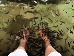 -天目湖涵田半山温泉