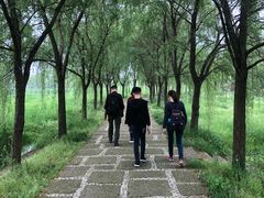 -长兴太湖图影湿地文化园