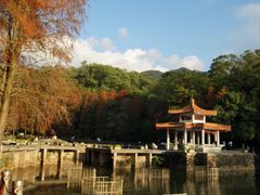 -深圳仙湖植物园
