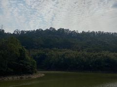 -滴水岩森林公园