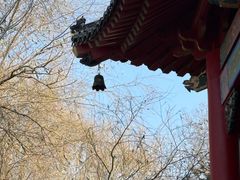 -哈尔滨极乐寺
