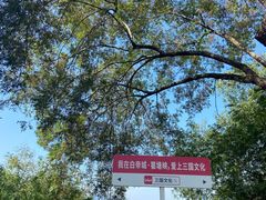 -白帝城·瞿塘峡景区
