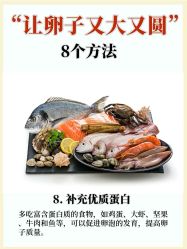 -北京俪婴妇产医院(朝阳大悦城店)