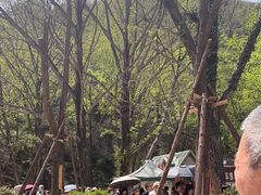 -木兰云雾山
