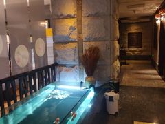 -樱蘭全息养生馆(三里屯店)