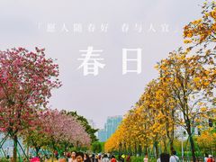 -洲头咀公园