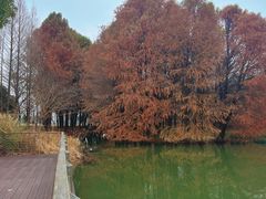 -梁鸿国家湿地公园