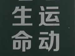 -羊山湖公园