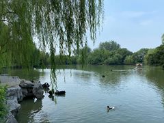 -扬州市茱萸湾风景区