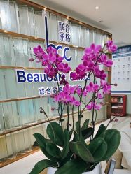 点击看大图 -重庆联合丽格第五医疗美容医院