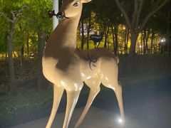 景点-国家动漫园