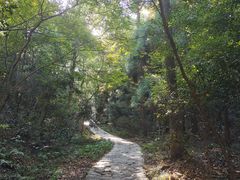 -紫金山山顶公园