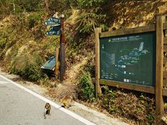 -姑婆山旅游区