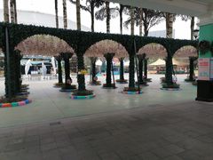 -海合安成都极地海洋公园
