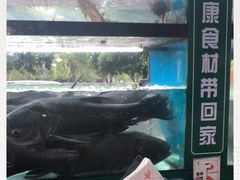 -好灶头妈妈菜·柴火灶台鱼·千岛湖土菜地标美食