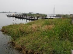 -芒洲湿地公园