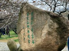 -香雪海