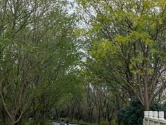 -同里国家湿地公园