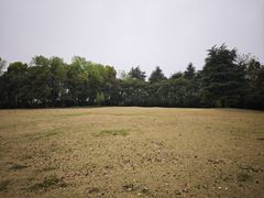 -春兰国宾馆(凤城河风景区老街店)