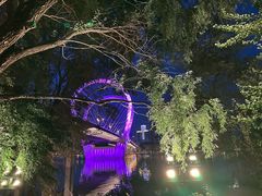 -长白岛森林公园