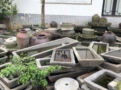 大堂-青城甲(青城山店)