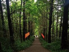 -东白山