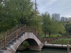 -五缘湾湿地公园