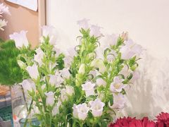 -花未央花店·WEYOUNG
