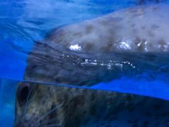 -多彩贵州城极地海洋世界