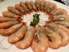 -T館·花园艺术餐厅