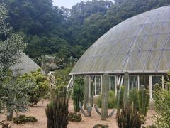 -深圳仙湖植物园-停车场