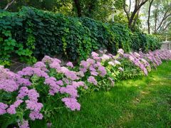 -北京张裕爱斐堡酒庄