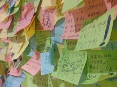 -古树酸奶(八廓南街店)