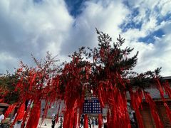 -五台山风景名胜区