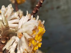 -玄武湖景区-情侣园游乐场