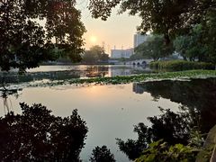 -荔湾湖公园