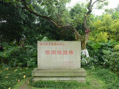 -张坝桂圆林公园