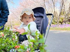 -白塘生态植物园