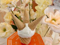 -极拉图·现制冰淇淋(大卫城店)